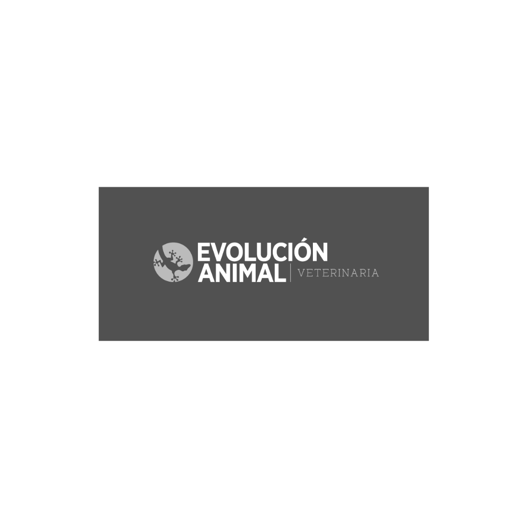 evolucion animal